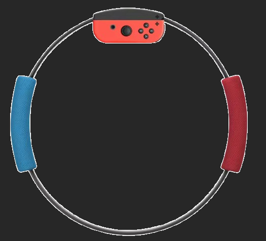 Aolion PG-NS0932 Switch Ring Fit - Image 2