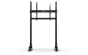 NLR Free Standing Single Monitor